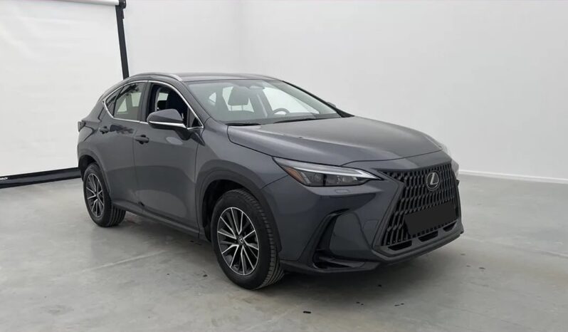 Second-hand Lexus NX350h 2023 full