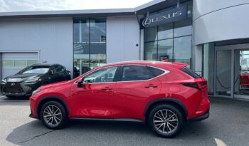 Second-hand Lexus NX350h 2023 full