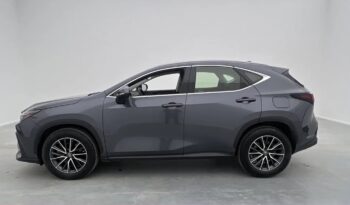 Second-hand Lexus NX350h 2023 full