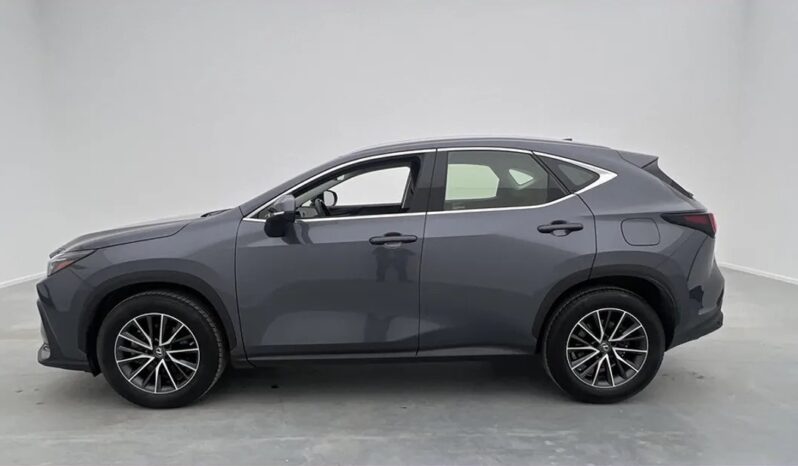 Second-hand Lexus NX350h 2023 full