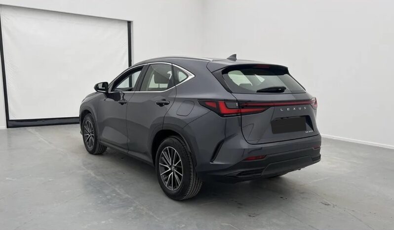 Second-hand Lexus NX350h 2023 full