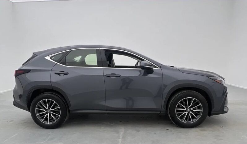 Second-hand Lexus NX350h 2023 full